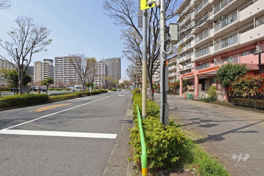敷地南側の前面道路（東側から）