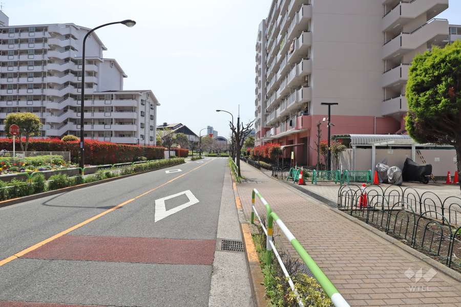 敷地東側の前面道路（北側から）