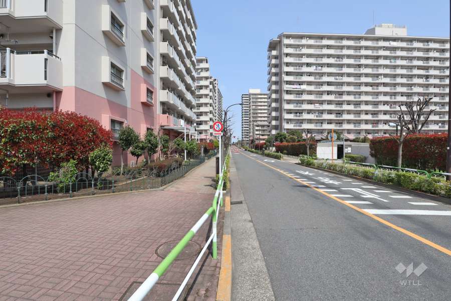 敷地東側の前面道路（南側から）