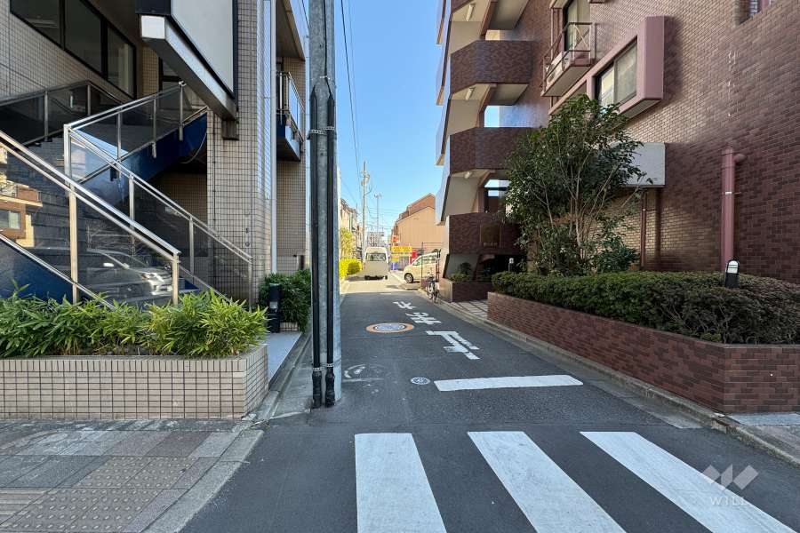 敷地の北側前面道路（西側から）