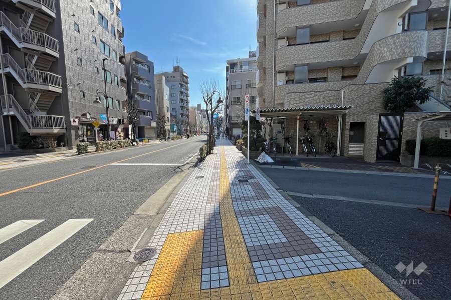 敷地東側の前面道路（北側から）