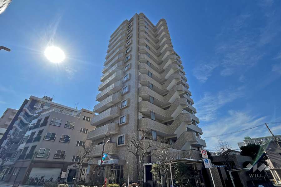 ローヤルシティ田端の外観（北東側から）