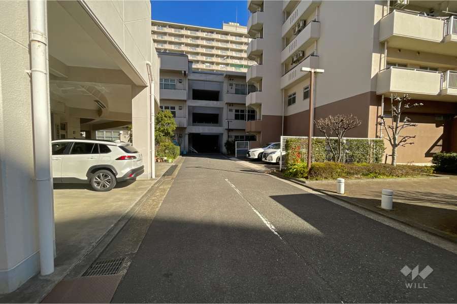 敷地西側の共用通路（南側から）