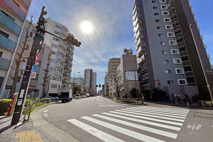 敷地北東側の前面道路（北西側から）