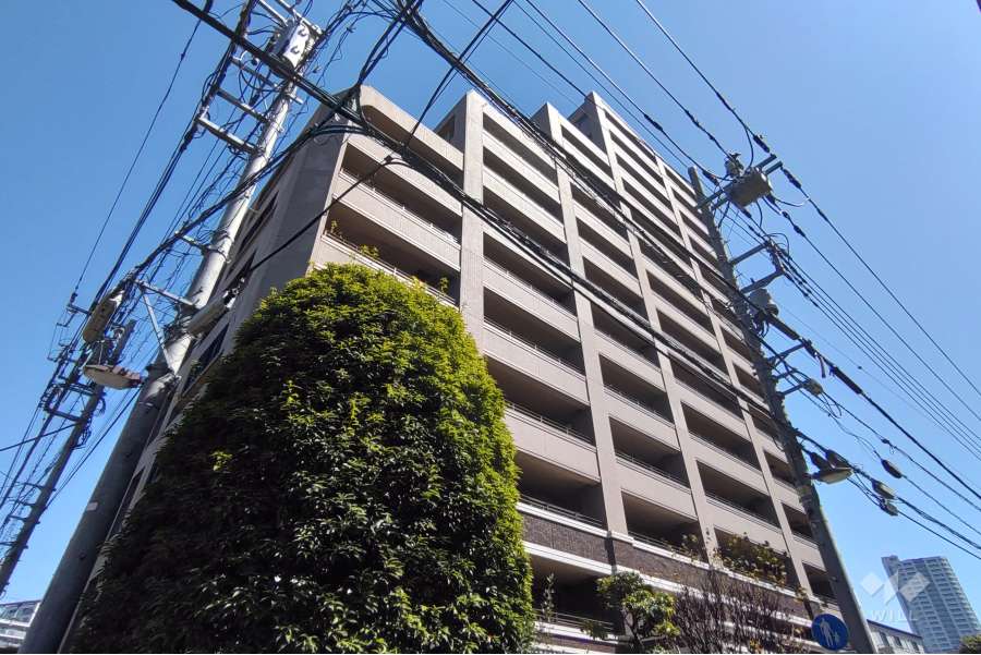 ナイスシティアリーナ西日暮里の外観（南西側から）