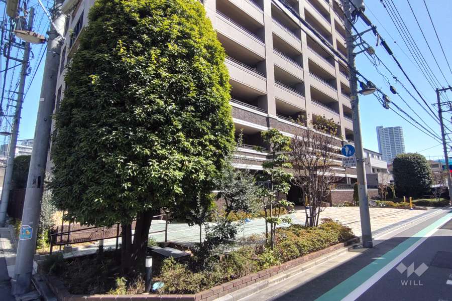 敷地入り口