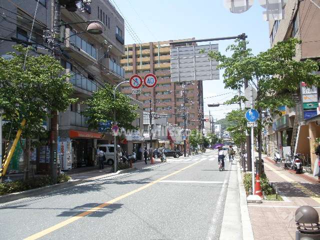 敷地東側の前面道路(南側から)