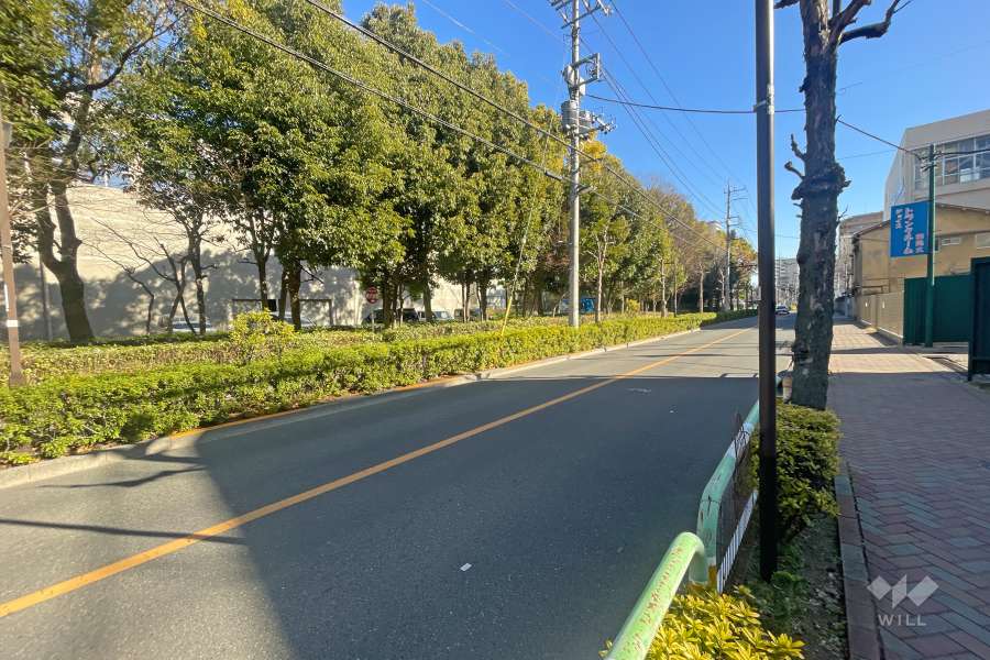 敷地北側の前面道路（西側から）