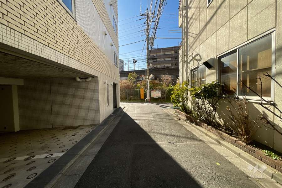 敷地西側の前面道路（北側から）