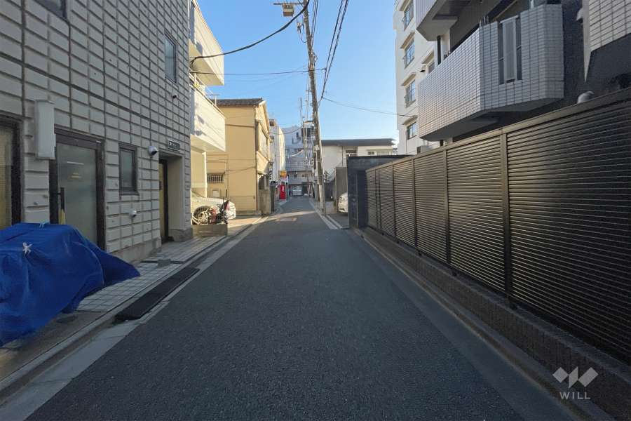 敷地の東側前面道路（北側から）