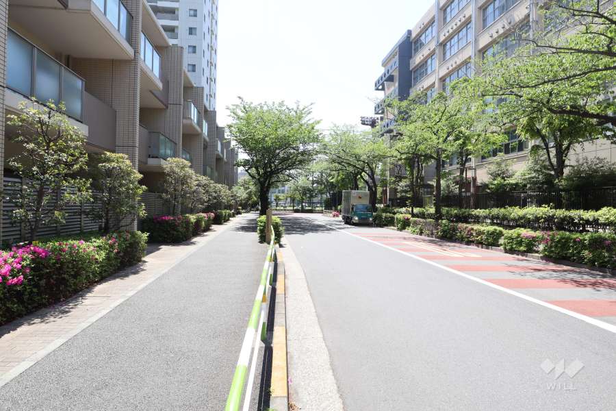 敷地西側の前面道路