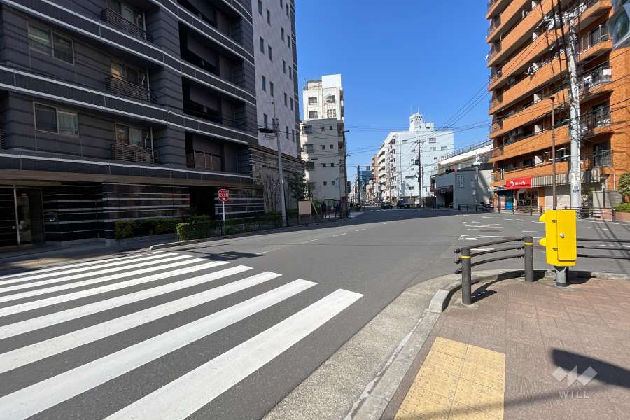 敷地北東側の前面道路（南東側から）