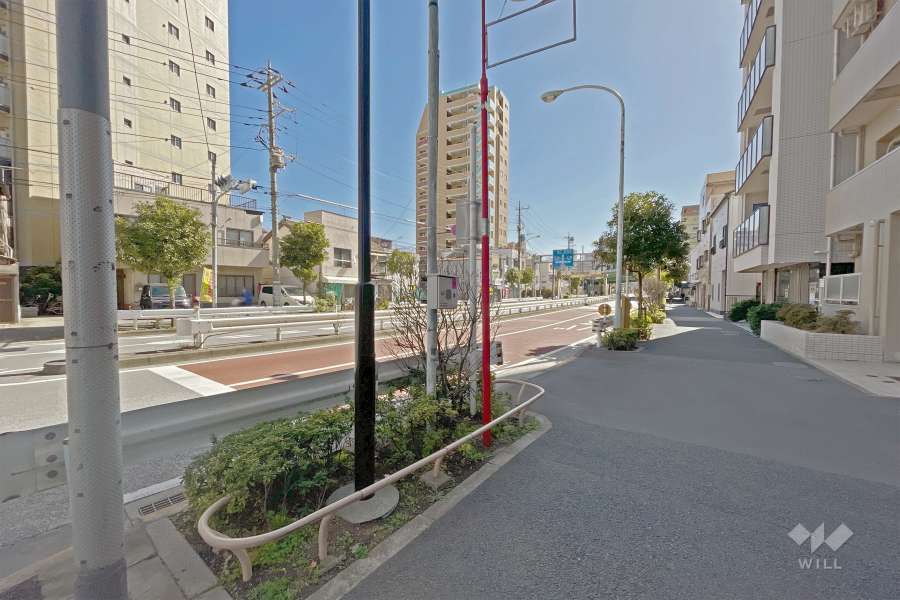 敷地北側の前面道路（西側から）