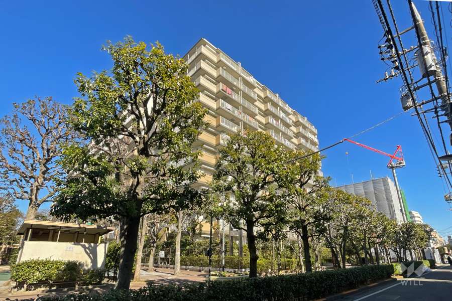 グリーンパーク上中里の外観（南側から）