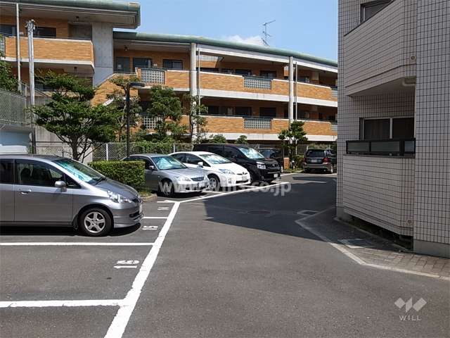 敷地内駐車場（平面式）