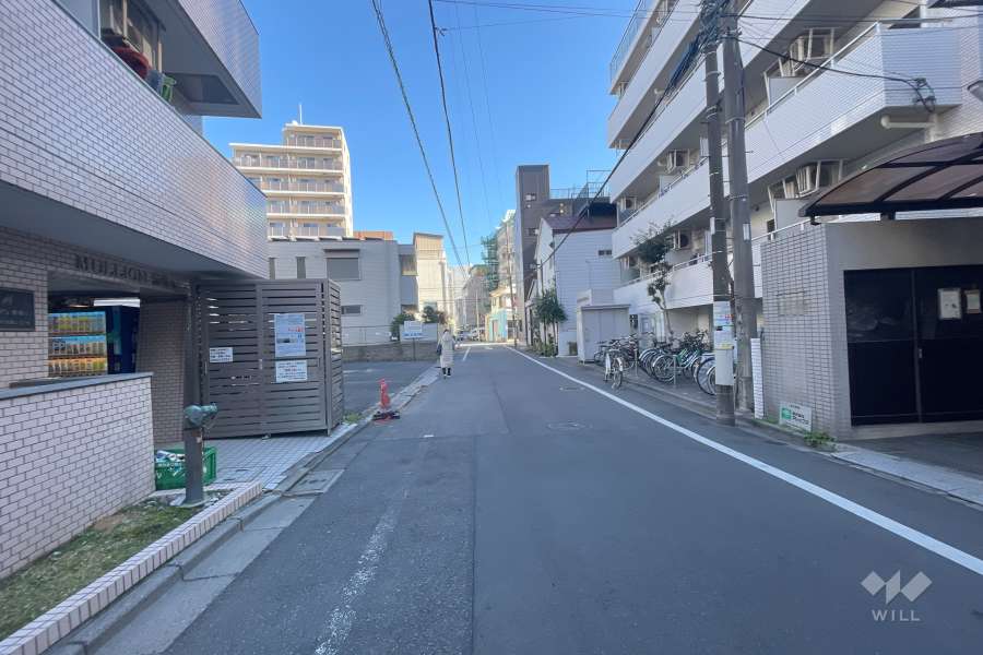 敷地南側の前面道路（西側から）