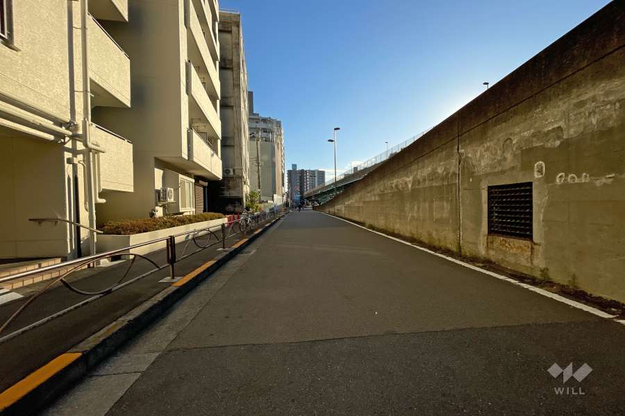 敷地西側の前面道路（北側から）
