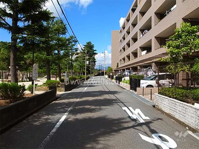敷地南側の道路。道を挟んで『塩塚公園』です。