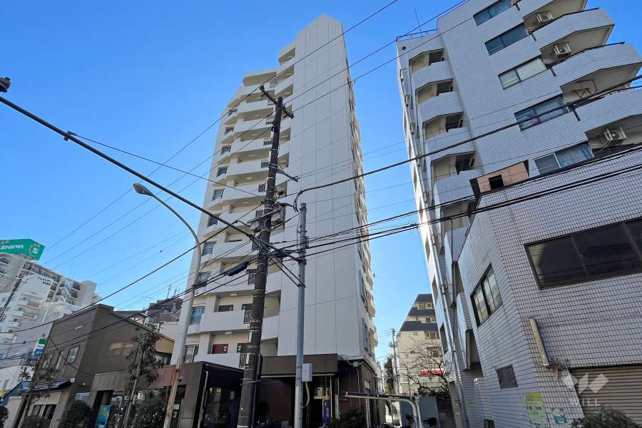 ロータリーマンションの外観(北西側より)