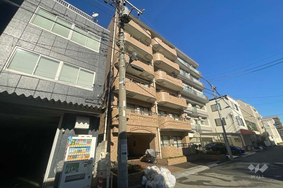 朝日プラザ荒川遊園の外観（南西側から）