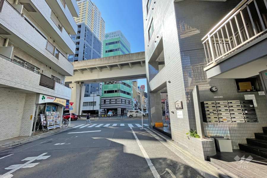 敷地南東側の前面道路（北東側から）