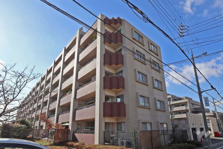 藤和池田ホームズ ステラコートの外観（北東側から）