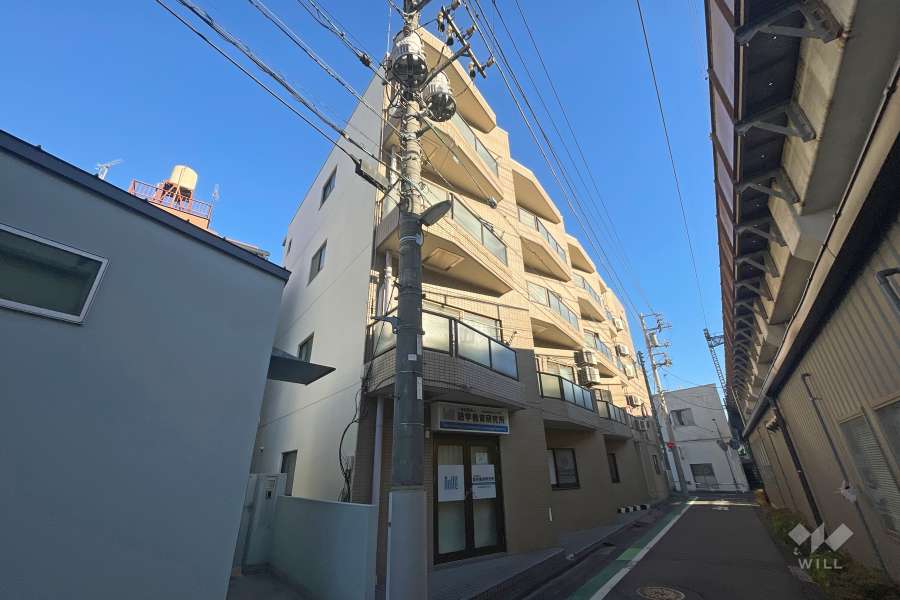 サザンパレス西日暮里の外観（南側から）