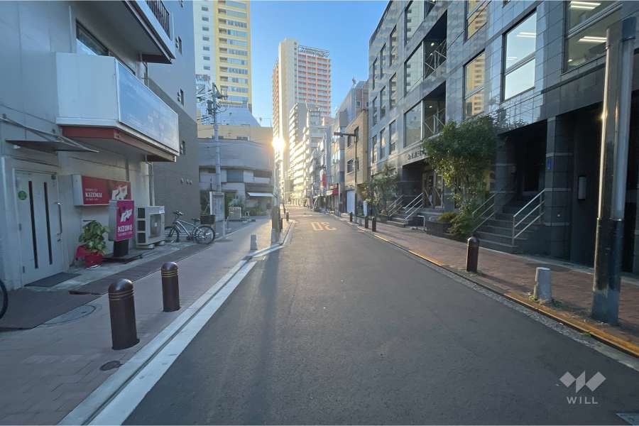 敷地南西側の前面道路（北西側から）