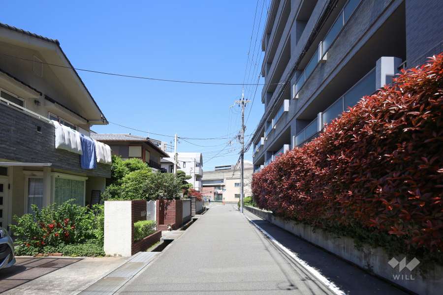 敷地西側の前面道路（南側から）