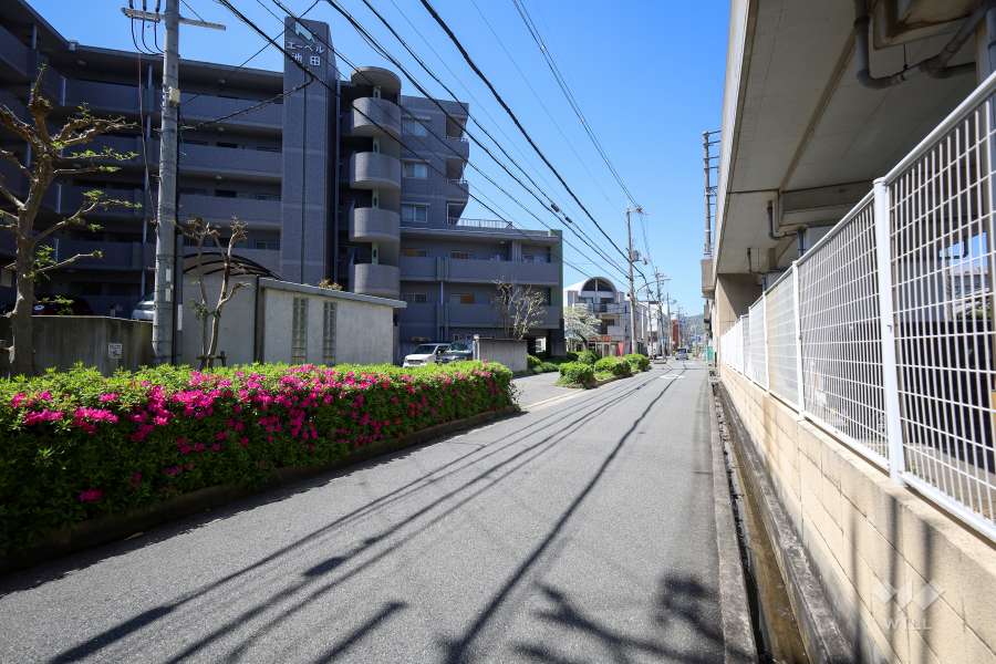 敷地北側の前面道路（東側から）