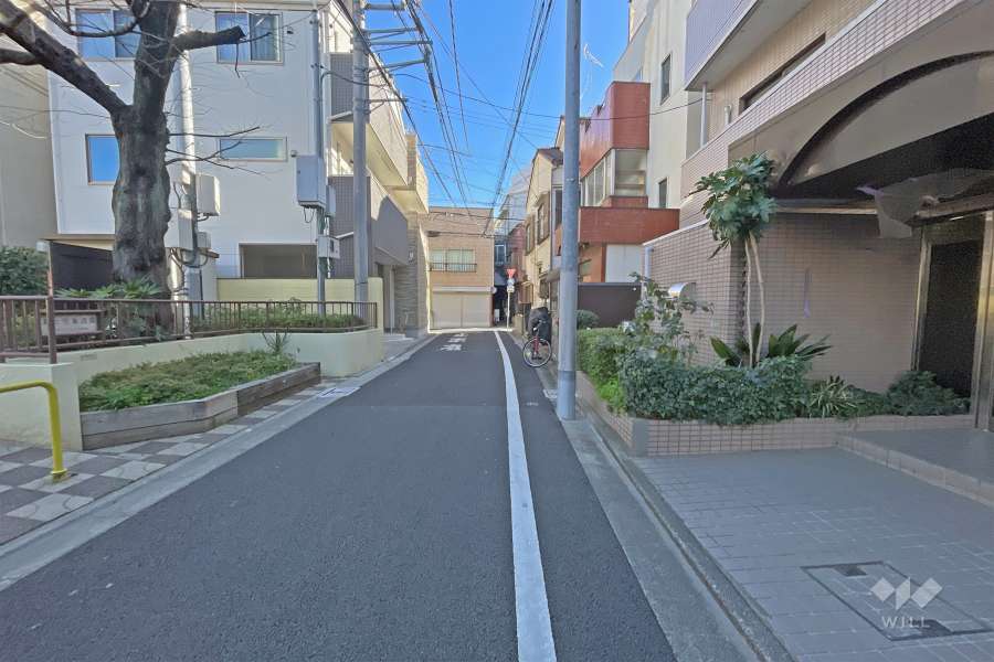敷地の北側前面道路（西側から）