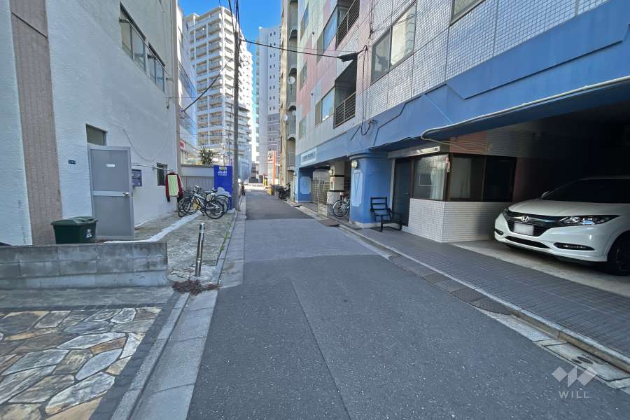 敷地西側の前面道路（南側から）