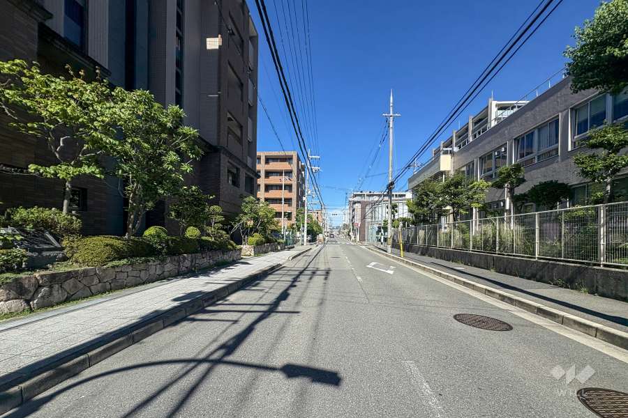 敷地北側の前面道路（東側から）