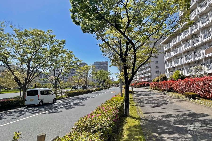 敷地の南側前面道路（東側から）は、けやき通りです。