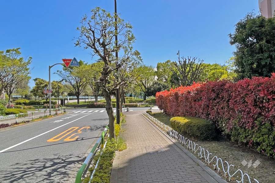 敷地の東側前面道路（北側から）。南方向に東京スカイツリーを望める、隅田川沿いの開放感のある立地です。