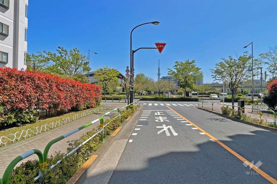 敷地の西側前面道路（北側から）