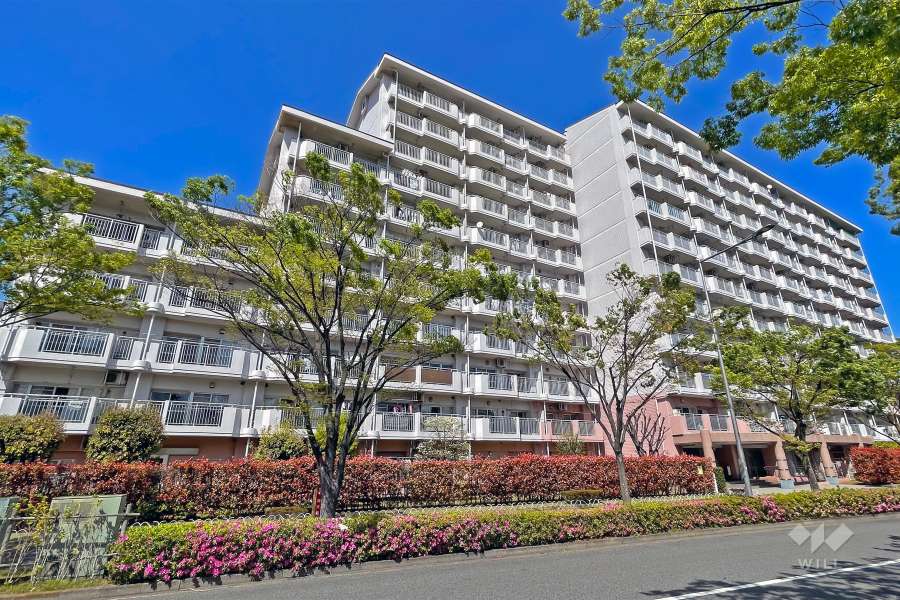 けやき通り北九番館の外観（南西側から）