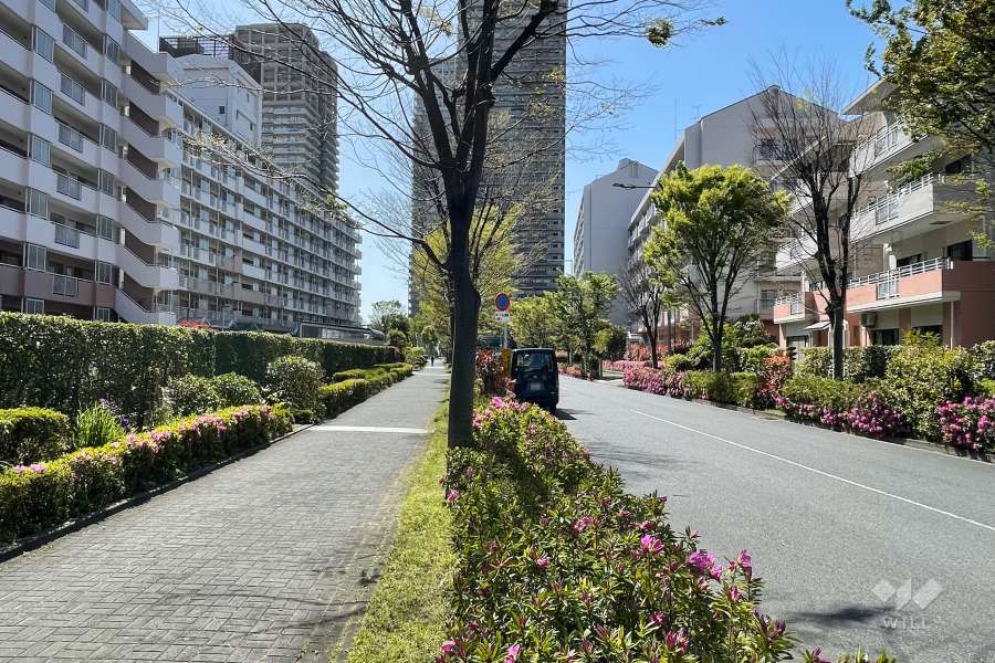敷地北側の前面道路