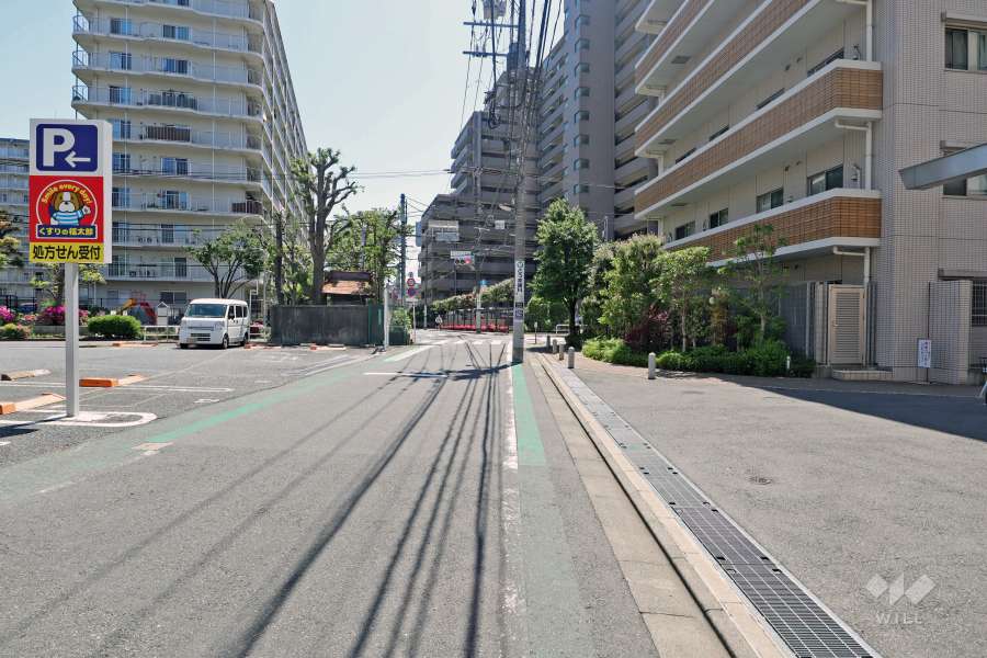 敷地の東側道路（北側から）