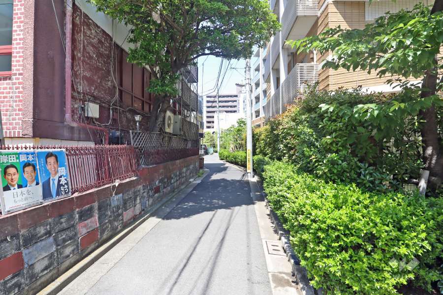 敷地の西側道路（南側から）