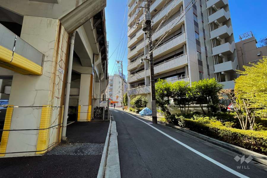 敷地南東側の前面道路（北東側から）