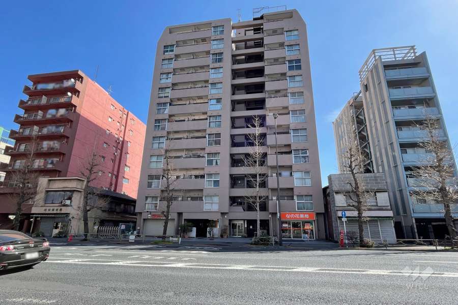 グリーンキャピタル三ノ輪の外観（西側から）　