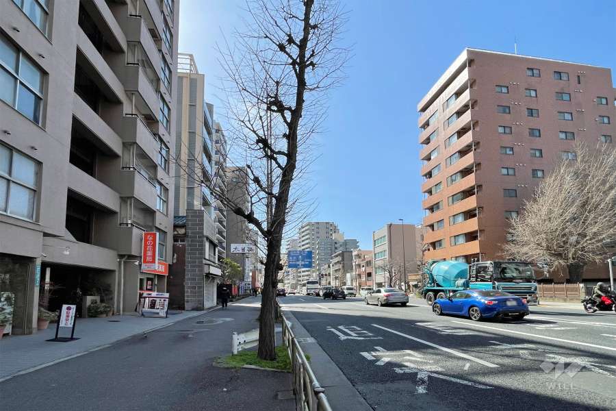 敷地北西側の前面道路　
