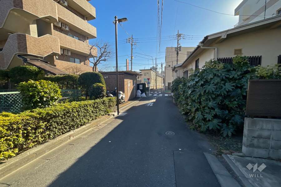 敷地西側の前面道路（北側から）