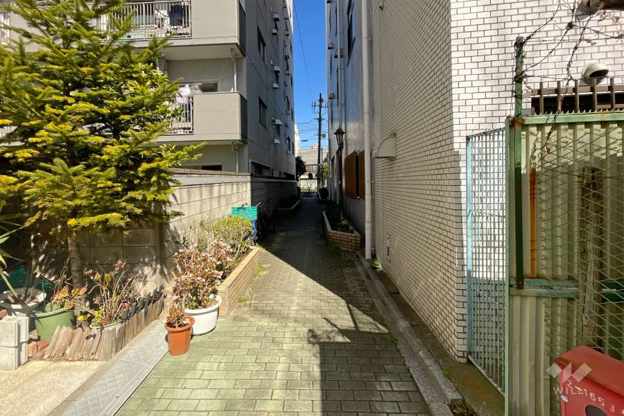 敷地の東側前面道路（南側から）