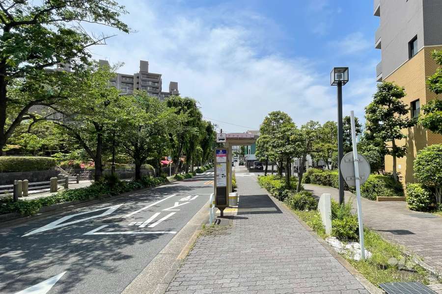 敷地東側の前面道路（北側から）