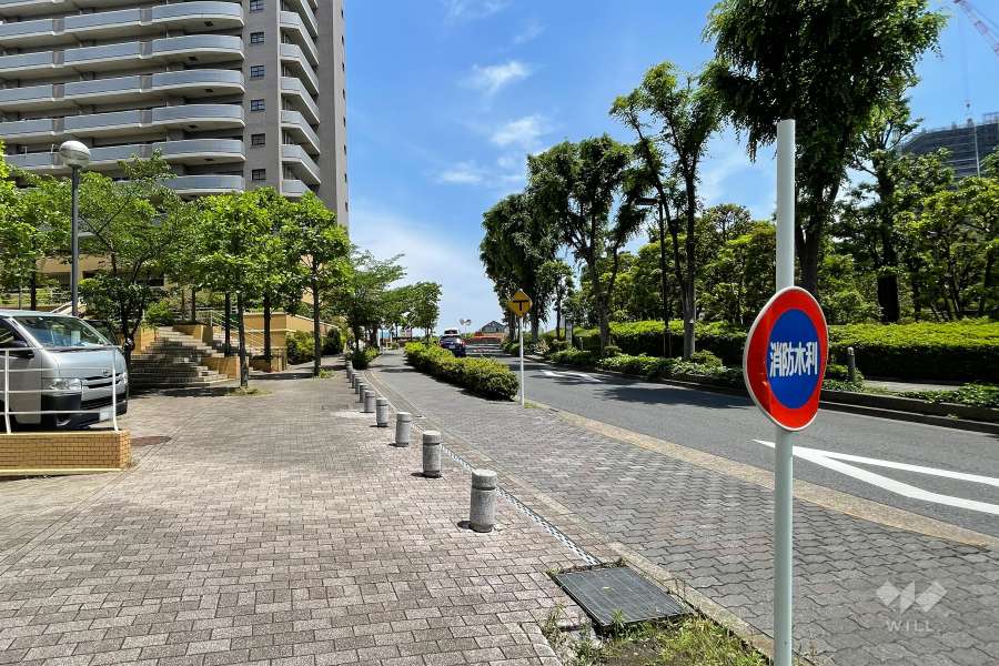 敷地東側の前面道路（南側から）