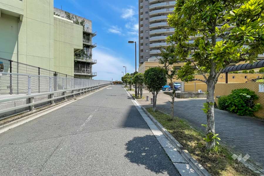 敷地西側の前面道路（南側から）