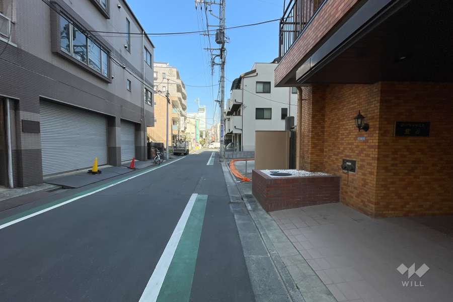 敷地西側の前面道路（南側から）