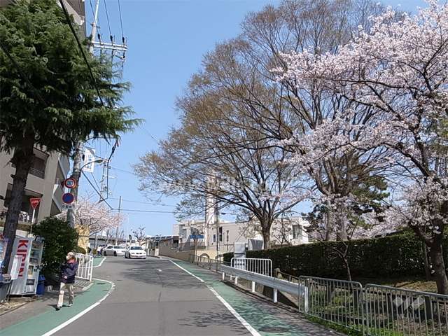敷地東側の前面道路